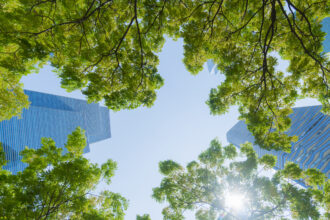 Kimberly-Clark reduce 50% de uso de fibra de bosques naturales